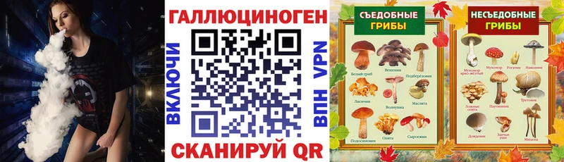 Купить закладки  Подпорожье  Псилоцибиновые грибы мицелий 